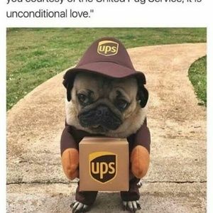 Meet your Posher, Kathleen